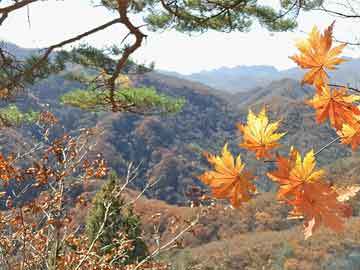 武義水雨情實(shí)時(shí)更新，歷年12月27日數(shù)據(jù)回顧